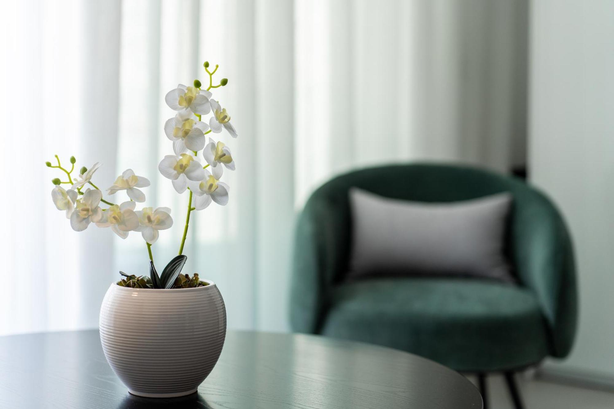 Althea Suites Sitia  Pokoj fotografie